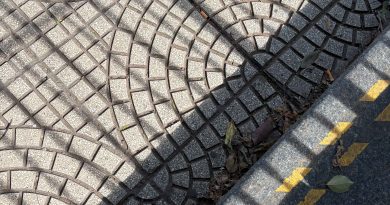 ¿Somos todavía reales…o apenas verosímiles?*, por Nora Patricia Nardo