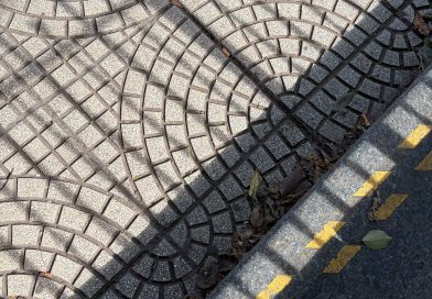 ¿Somos todavía reales…o apenas verosímiles?*, por Nora Patricia Nardo