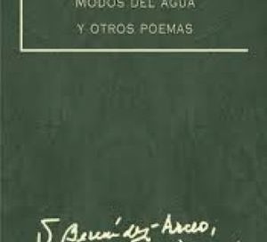 CRÍTICA LIBROS:  “Modos del agua y otros poemas”, de Viviana Bermúdez Arceo, por Nora Patricia Nardo